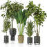 Plantas en macetas Conjunto de Interior 113 - uniquevry