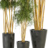 Plantas en macetas Conjunto de Interior 115 - uniquevry