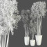 Plantas en macetas Conjunto de Interior 115 - uniquevry