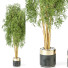 Plantas en macetas Conjunto de Interior 116 - uniquevry