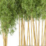 Plantas en macetas Conjunto de Interior 116 - uniquevry