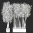 Plantas en macetas Conjunto de Interior 116 - uniquevry