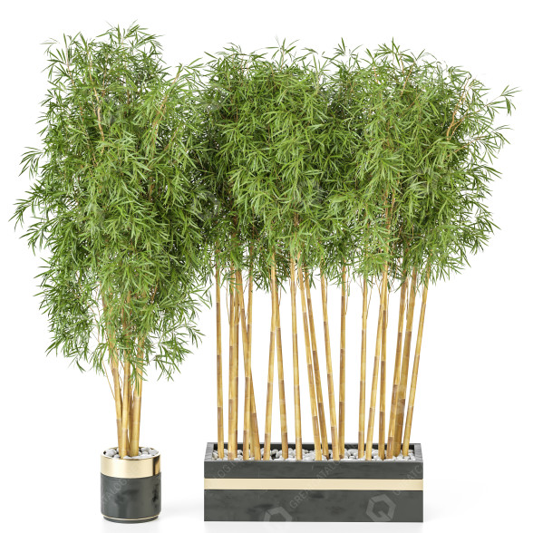 Plantas en macetas Conjunto de Interior 116 Modelo 3D