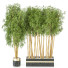 Plantas en macetas Conjunto de Interior 116 - uniquevry