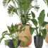 Plantas en macetas Conjunto de Interior 118 - uniquevry
