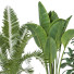 Plantas en macetas Conjunto de Interior 118 - uniquevry