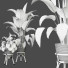 Plantas en macetas Conjunto de Interior 119 - uniquevry