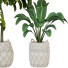 Plantas en macetas Conjunto de Interior 121 - uniquevry