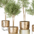 Plantas en macetas Conjunto de Interior 122 - uniquevry
