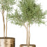 Plantas en macetas Conjunto de Interior 122 - uniquevry