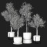 Plantas en macetas Conjunto de Interior 122 - uniquevry