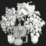 Plantas en macetas Conjunto de Interior 124 - uniquevry