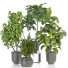 Plantas en macetas Conjunto de Interior 124 - uniquevry