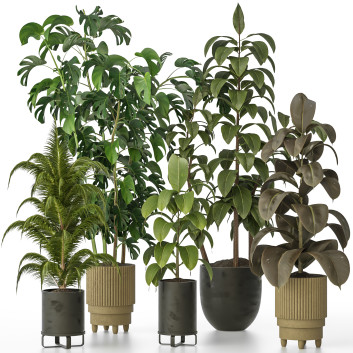 Растения в горшках  Коллекция Закрытых Помещений 125 3D модель