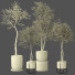 Plantas en macetas Conjunto de Interior 131 - uniquevry