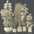 Plantas en macetas Conjunto de Interior 132 - uniquevry