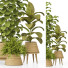 Plantas en macetas Conjunto de Interior 133 - uniquevry
