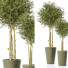 Plantas en macetas Conjunto de Interior 133 - uniquevry