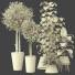 Plantas en macetas Conjunto de Interior 133 - uniquevry
