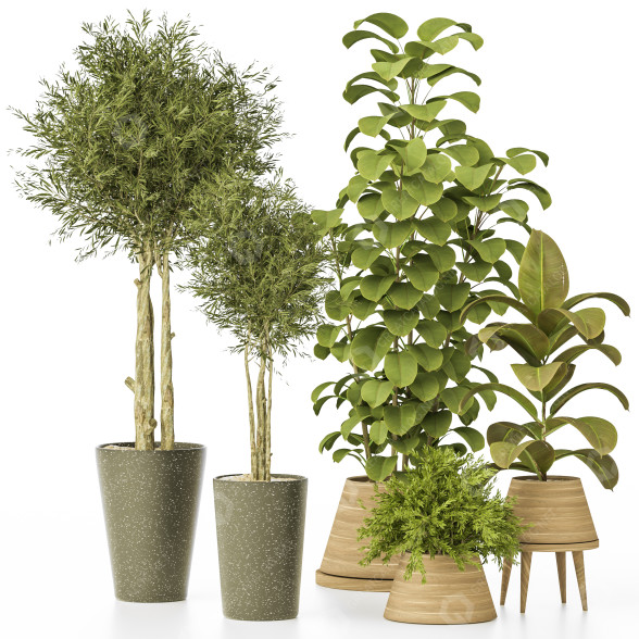 Plantas en macetas Conjunto de Interior 133 Modelo 3D