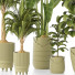 Plantas en macetas Conjunto de Interior 135 - uniquevry