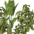 Plantas en macetas Conjunto de Interior 135 - uniquevry