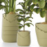 Plantas en macetas Conjunto de Interior 135 - uniquevry