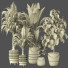 Plantas en macetas Conjunto de Interior 135 - uniquevry