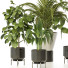 Plantes en pot Ensemble d'Intérieur 136 - uniquevry