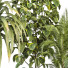 Plantas en macetas Conjunto de Interior 137 - uniquevry