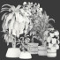Plantas en macetas Conjunto de Interior 137 - uniquevry