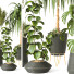 Plantas en macetas Conjunto de Interior 138 - uniquevry