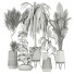 Plantas en macetas Conjunto de Interior 138 - uniquevry
