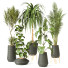 Plantas en macetas Conjunto de Interior 138 - uniquevry