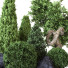Arboles y arbustos Conjunto Exterior Vol 22 - uniquevry