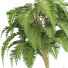Bäume und Sträucher Gartenset Tropisch Band 37 - uniquevry