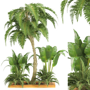 Bäume und Sträucher Gartenset Tropisch Band 37