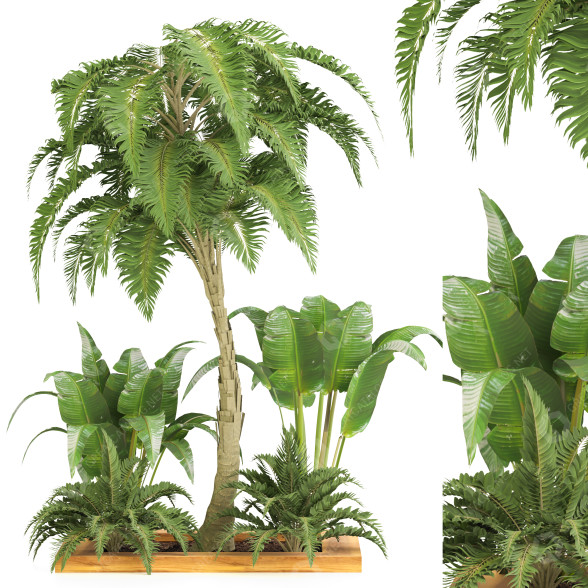 Bäume und Sträucher Gartenset Tropisch Band 37 3D-Modell