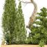 Drzewa i krzewy Garden Set Vol 35 - uniquevry