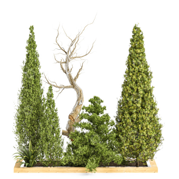 Drzewa i krzewy Garden Set Vol 35 model 3D