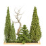 Drzewa i krzewy Garden Set Vol 35 - uniquevry