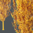 Drzewa HQ Plants Acer X freemanii Freeman Maple Sapindaceae Armstrong Set 03 - Pandora-land