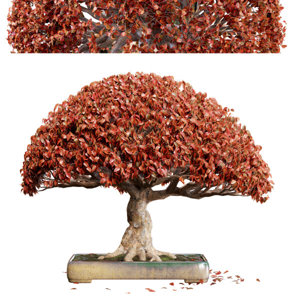 Bonsaï 03 modèle 3D