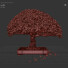 Bonsaï 03 - Hemase