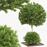 Arbres et buissons Ensemble de Jardin 04 - shayan sharify