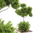 Arbres et buissons Ensemble de Jardin 04 - shayan sharify
