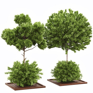 Bäume und Sträucher Gartenset 04 3D-Modell