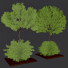 Arbres et buissons Ensemble de Jardin 04 - shayan sharify