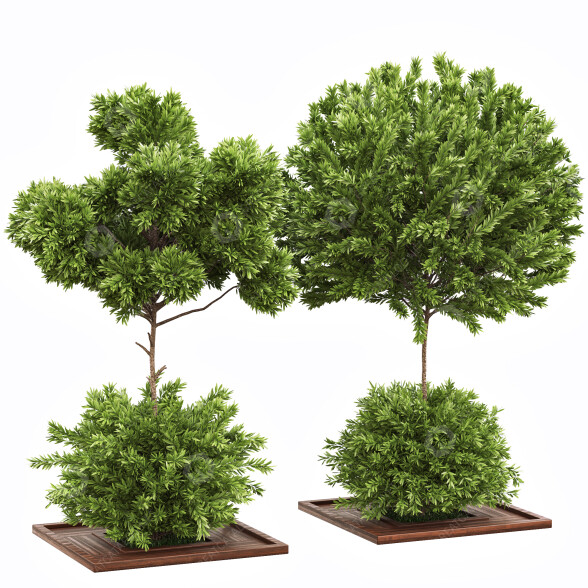 Arbres et buissons Ensemble de Jardin 04 modèle 3D