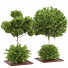 Arbres et buissons Ensemble de Jardin 04 - shayan sharify